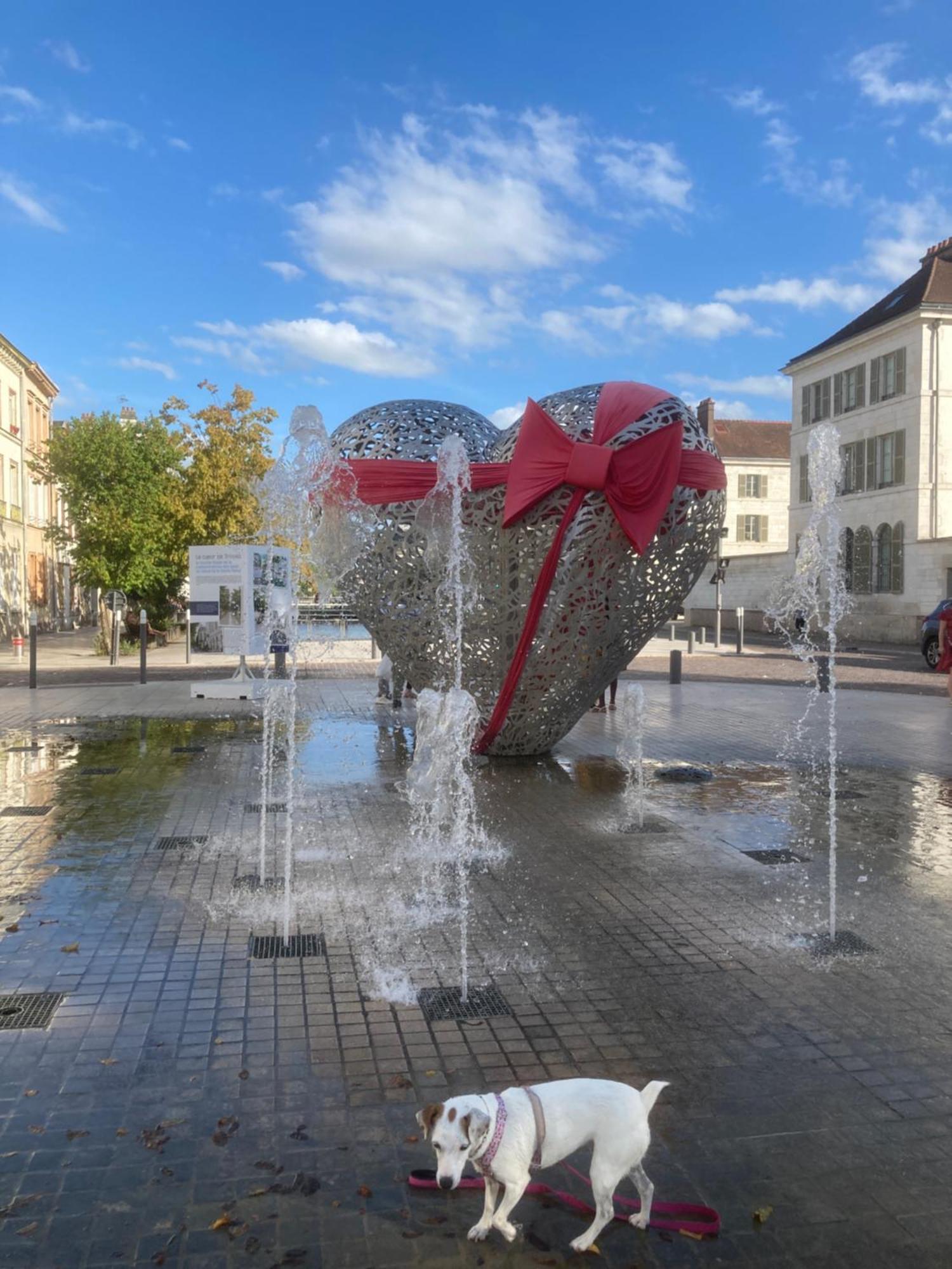 Papillons De Nuit Champagne Troyes Apartman Kültér fotó